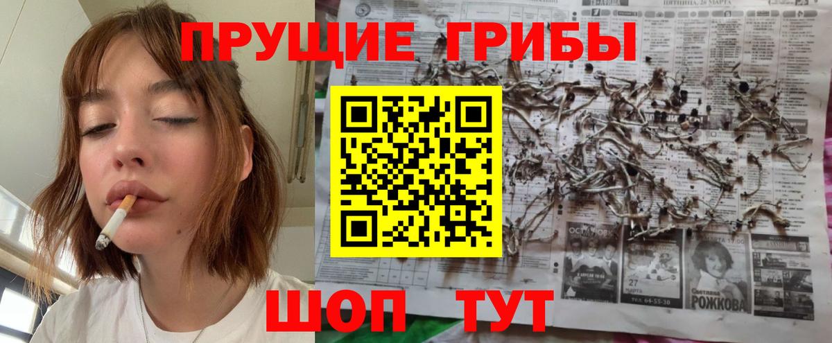 Псилоцибиновые грибы прущие грибы  Псилоцибиновые грибы Psilocybine cubensis  Кирово-Чепецк  Вход с VPN 